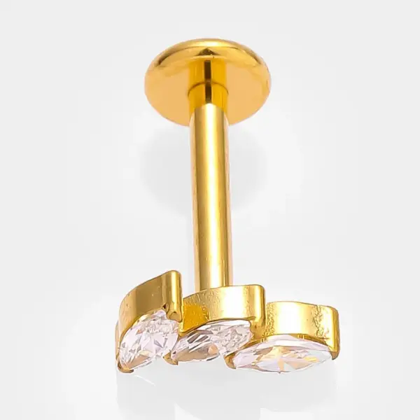 Wholesale 1 Piece Lip Rings Simple Style Commute Crown Butterfly Titanium Steel Inlay Zircon 18K Gold Plated Ear Cartilage Rings & Studs