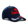 Wholesale Unisex Ethnic Style American Flag Eagle Braid Curved Eaves Baseball Cap