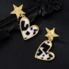 Wholesale Fashion leopard star love eardrop temperament three-dimensional trend girl style niche high-end earrings 4379