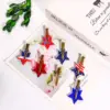 oly-3b199b5f4287f203b91ba194cf856c18 Wholesale Acrylic Hair Clip Letter Star Gold Powder Solid Color Bamboo Sky Women's Hair Accessory