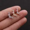 oly-3c162d204d0c25b9411628ceaf36da1a Wholesale 316L Stainless Steel Copper Zircon Ear Cartilage Rings & Studs Star Waterproof Non Tarnish Surgical Steel Women'S