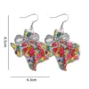 Wholesale Retro Map Print Acrylic Drop Earrings For Women With 304 Stainless Steel Ear Pins