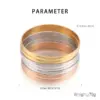 Wholesale PVD Coated 18K Gold Plated Round Stainless Steel Simple Style Waterproof Non Tarnish 304 Stainless Steel Bangle