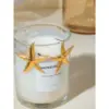 Wholesale PVD Coated Real Gold Plated 18K Gold Starfish 304 Stainless Steel Vacation Marine Style Waterproof Non Tarnish Ear Studs