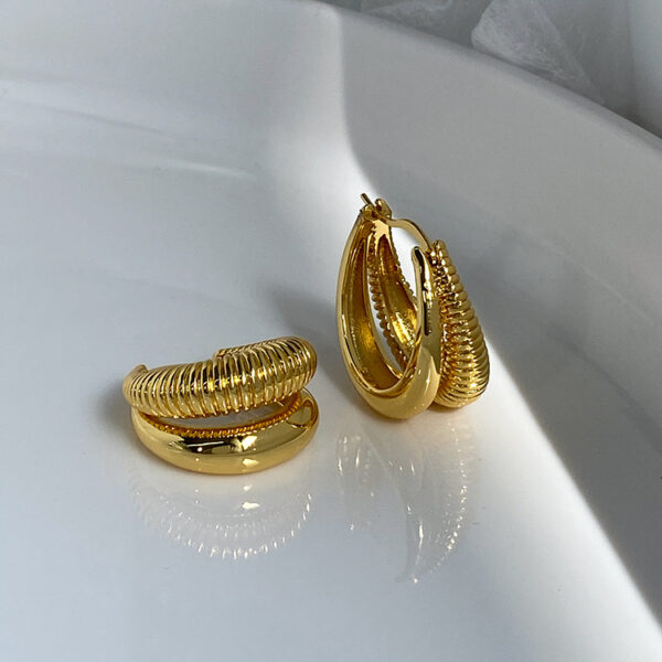 oly-4a95f111381f610649627468e7e23fb7 Wholesale Internet Celebrity Cool Style Spiral Twill Ear Ring Minimalist Fashionable Earrings Earrings Ear Buckle Trendy