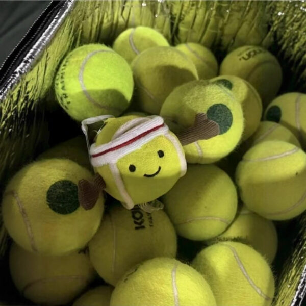 oly-4ab76a7ed2d4b3c851f536287d41f0b4 Wholesale Domestic Jc Style Fun Tennis and Baseball Bag Charm Plush Doll Keychain