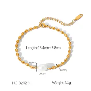 HC-B20211