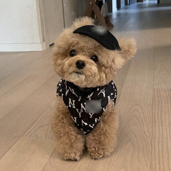 oly-4fc41da4893a77032c30df45369a1476 Wholesale Pet Baseball Cap Corgi Soft Top Hat Cute Puppy Sunshade Sun Protection Teddy Method Dou Golden Retriever Chai Dog Cat