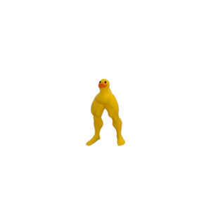 Muscle duck--small