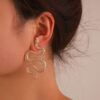 Wholesale Retro Exaggerated Snake Earrings Fashion Punk Geometric Alloy Carved Animal Snake Earrings Earrings