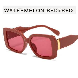 Metal hinge / Watermelon red