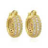 Wholesale 1 Pair Streetwear Leaves Plating Inlay Copper Zircon Hoop Earrings