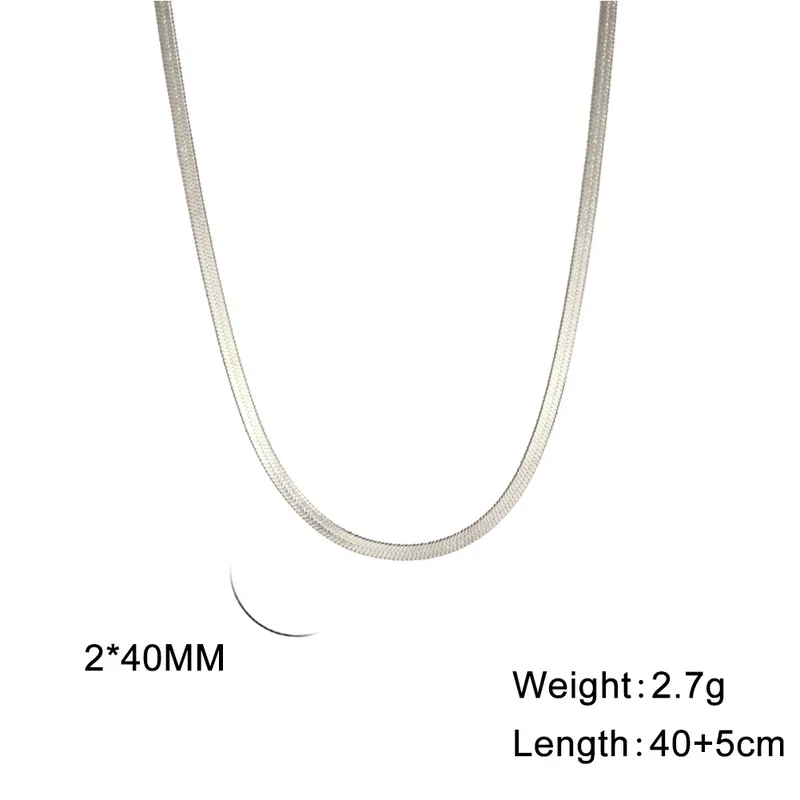 Wholesale Ion Plating (IP) 18K Gold Plated Chain Necklace 304 Stainless Steel IG Style Original Design Basic Waterproof Non Tarnish 304 Stainless Steel Lobster Trigger Clasp Closure Layered Necklaces Sweater Chain Long Necklace - Silver, 2mm Wide, 40 5cm Long