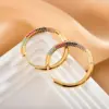Wholesale 1 Pair Glam Modern Style Circle Inlay Copper Zircon Earrings
