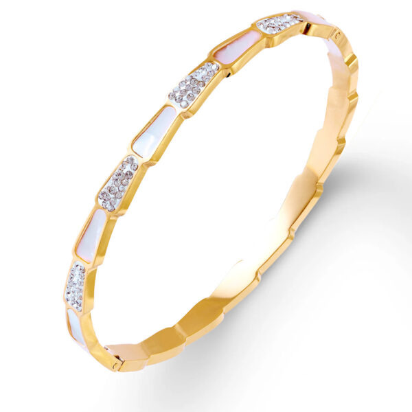 oly-5a393e68a9a2a652aee5a146392bcf52 Wholesale Stainless steel and titanium steel colorfast snake bone and shell jewelry, titanium steel bracelet