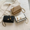 Wholesale Simple Autumn Casual Fashion Chain Small Square Bag Fashion Western Style Crossbody Bag Solid Color Shoulder Bag