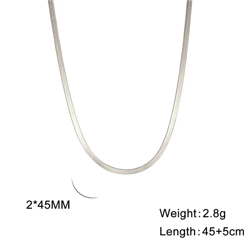 Wholesale Ion Plating (IP) 18K Gold Plated Chain Necklace 304 Stainless Steel IG Style Original Design Basic Waterproof Non Tarnish 304 Stainless Steel Lobster Trigger Clasp Closure Layered Necklaces Sweater Chain Long Necklace - Silver, 2mm Wide, 45 5cm Long