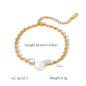 HC-B20211