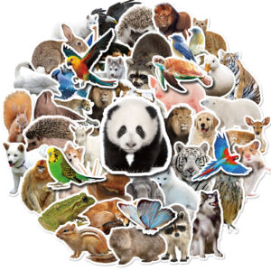 T01040603 realistic animals 50