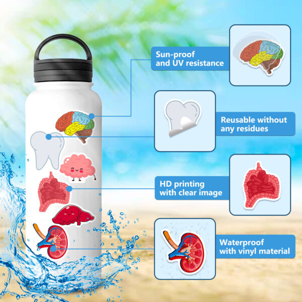 oly-6527c9950cf45714824e5ff7ab11d9bc Wholesale 50 Cute Human Organ Stickers to Learn Cartoon Human Organ Children's Early Education Stickers Creative