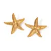 oly-6577bd549ec51179144a412c451416a8 Wholesale 304 Stainless Steel Starfish Shell PVD Coated 18K Real Gold Plated Real Gold Plated Casual Beach Classic Style Waterproof Non Tarnish Cuban Link Chain Curb Chain Rings Earrings