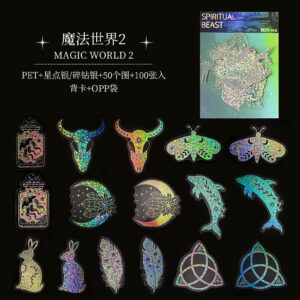 T01040646 Transparent Laser Sticker-Magic World 2(100)