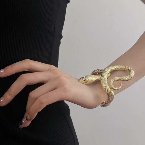 oly-697e4b36217982bac3de3030cfe8cdf9 Wholesale Niche Designer Vintage Metal Snake-Shaped Open Self-Discipline Bracelet Men's and Women's High-Feeling Exquisite plain Ring Bracelet