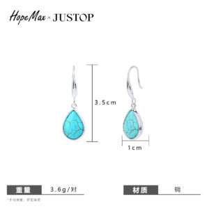 Steel turquoise drop earrings [bag]