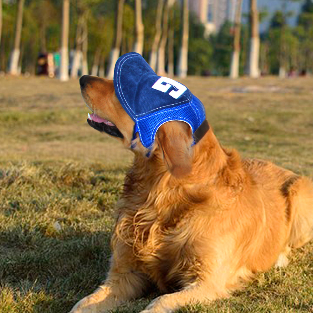 Wholesale Cute Pet Cap Golden Hair Koji Fa Dou Teddy Small Medium and Large Dog Dog Baseball Cap with Exposed Ears
