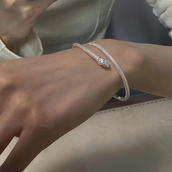 Wholesale Silver Open Snake Bracelet Ins Women's Accessible Luxury Fashion Trendy Hip-Hop Funny Scary Exotic Snake Bracelet
