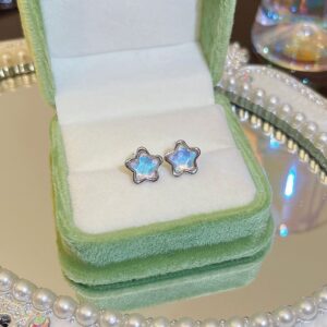 E0105 silver needle