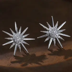 NS934-14 / Zircon