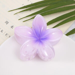 6CM franthemum (purple)