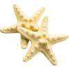 oly-71fa653fc148c95fcb77ec9546a51793 Wholesale resin starfish hairpin duck bill clip Korean hair accessories headdress wholesale female manufacturers