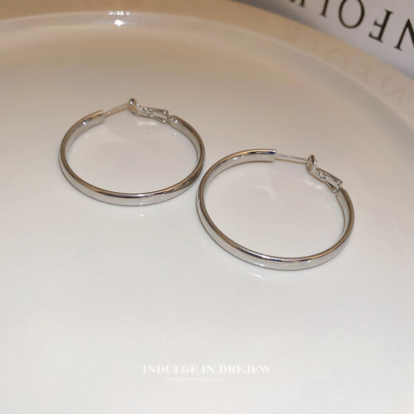 oly-731764e5b296a62ffd108ad8ea6e24a0 Wholesale French style metal circle earrings plain earrings trendy niche design unique temperament earrings for women