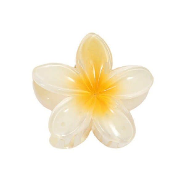 Wholesale Colorful Acrylic Frangipani Hairpin for Women's Back of Head DIY Grabber Shark Clip Hairpin Jewelry Batch