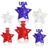 oly-763c7cbf7cb13ada3177ba46d5845393 Wholesale Independence Day Party Paper Ornaments For Event & Party Supplies, Ideal For Festive Venue Decoration