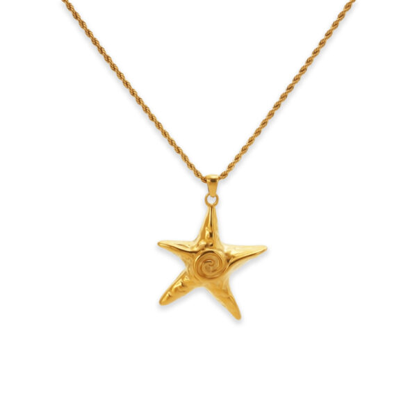 Wholesale Spring and summer in stock wholesale INS 18k gold plated titanium steel starfish beach necklace earrings suit