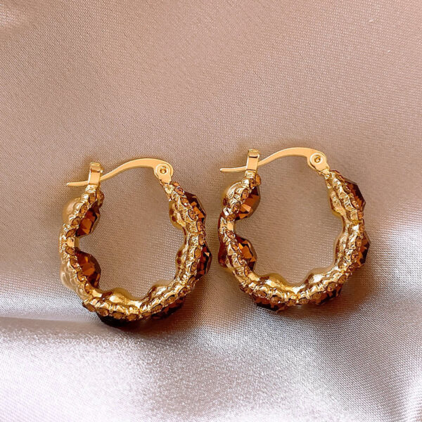 oly-7ceb8d4eb4bfb84d9b7f8eb67e998486 Wholesale brown Crystal Ring Ear Buckle Female Style Light Luxury Earrings Internet Celebrity Explosions High-end Ear Accessories for Women