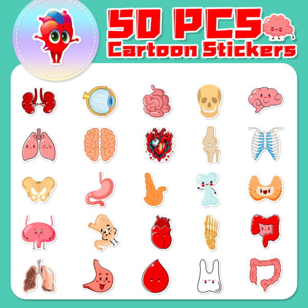 oly-7e327026d6d4cc2cc31ea8fc6946c55a Wholesale 50 Cute Human Organ Stickers to Learn Cartoon Human Organ Children's Early Education Stickers Creative