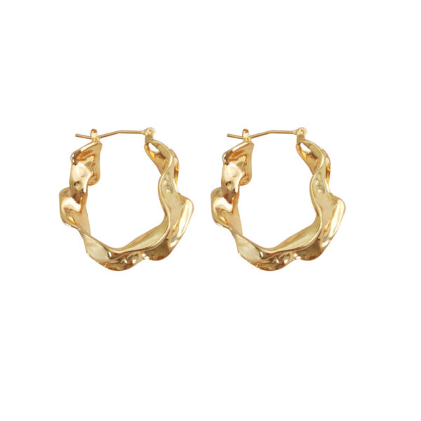 oly-7f39c839991bbf057f39733b998fc278 Wholesale personality irregular metal earrings temperament cold style earrings street fashion ear jewelry women's 5687