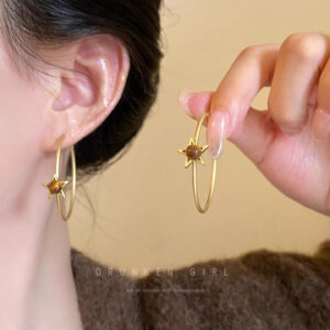 E6827 star-tiger eye stone star earrings