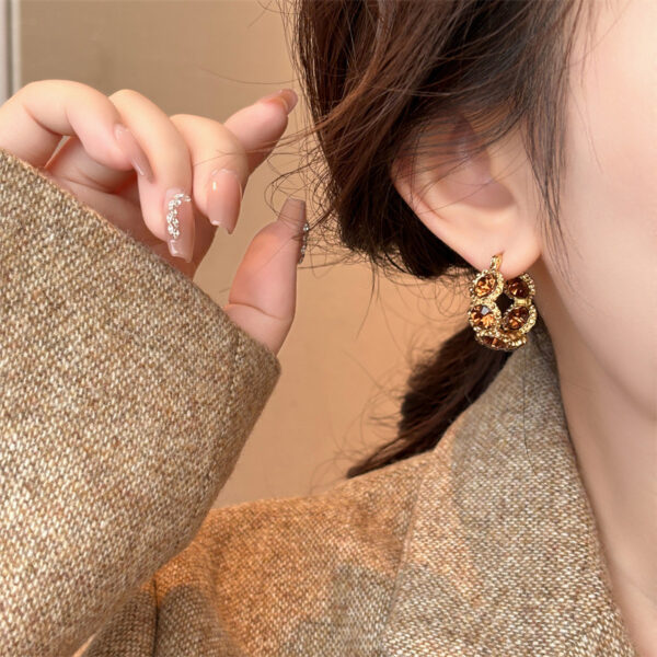 oly-7fc97436a30d87c5d8c6730042735621 Wholesale brown Crystal Ring Ear Buckle Female Style Light Luxury Earrings Internet Celebrity Explosions High-end Ear Accessories for Women