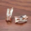 Wholesale New Geometric Hollow Out Women's Rose Gold Zircon Earrings Fashionable Ear Jewelry Chic Style Copper Material Electroplated