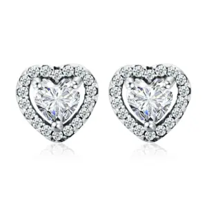 Earrings / 925 Silver