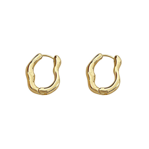 oly-846b39b9f42f41620a844e12622d42b8 Wholesale Irregular Geometric Ear Buckle Women's Fashionable Personalized Design Internet Celebrity Earrings Elegant Simple ins Cold Style Earrings
