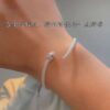 Wholesale Silver Open Snake Bracelet Ins Women's Accessible Luxury Fashion Trendy Hip-Hop Funny Scary Exotic Snake Bracelet