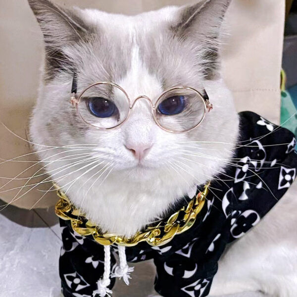 oly-878ed25666e1a2bf2abc143332be6fe4 Wholesale Pet eyewear manufacturer offers in-stock hip-hop and quirky eyewear for cats and dogs, trendy accessories, and pet sunglasses.