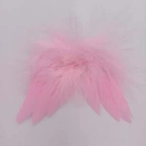 8x6 pink