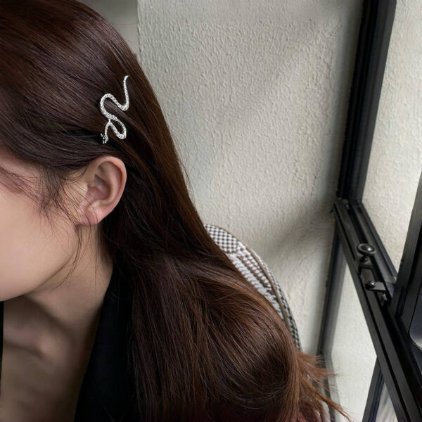 oly-9c4cacdccc315cf02847d2b4e4002570 Wholesale Snake-shaped Hair Clip Cool Girl's Personality One-word Clip Diablo Style Retro Niche Hair Accessories Side Bangs Clip